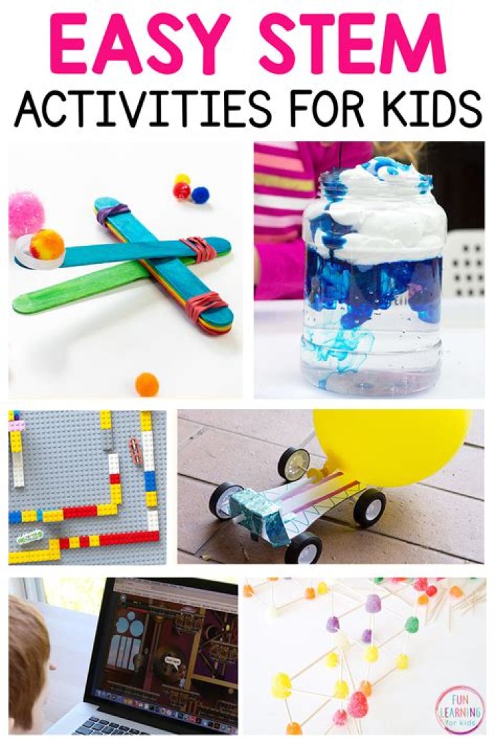 What is a stem science project