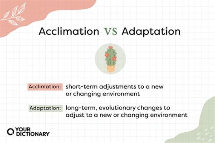What is acclimation in ecology