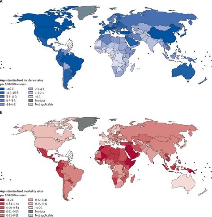 What is an epidemiological map