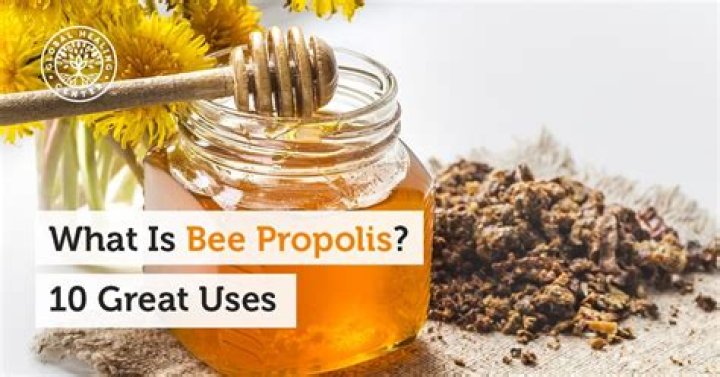 What is bee propolis good for