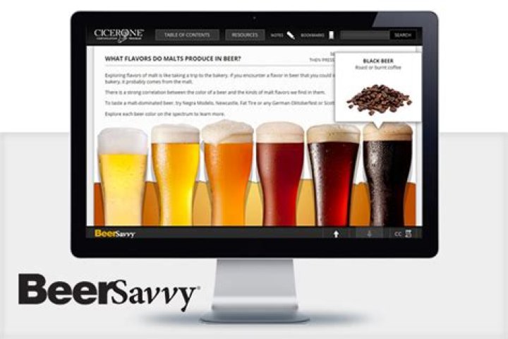 What is Cicerone beer server