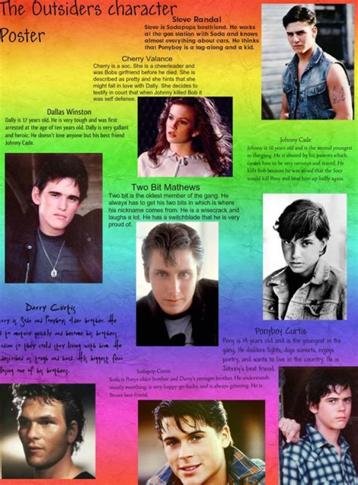 What is Darry in the outsiders