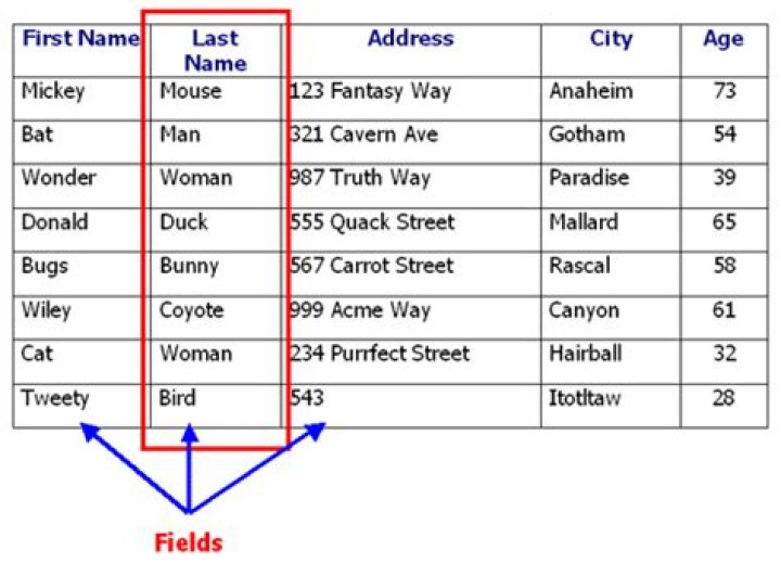 What is field name in database