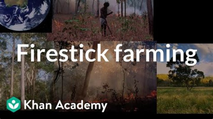 What is Firestick farming kids