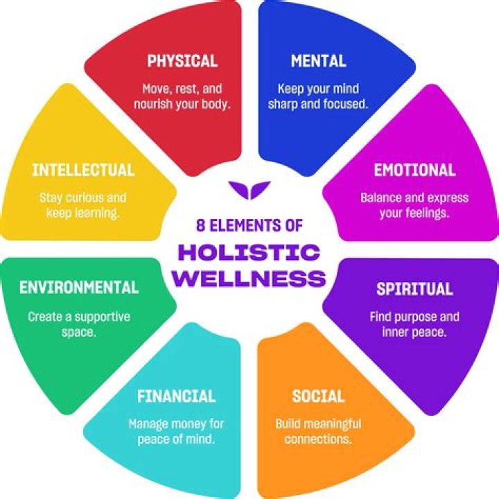 What is holistic model of care