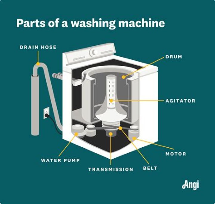 What is inside my washing machine