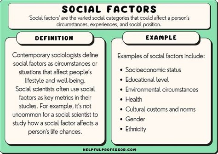 What is mean by social survey