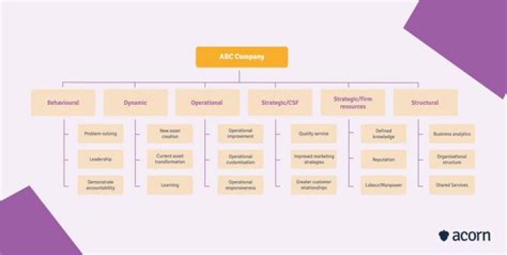 What is meant by a classifier