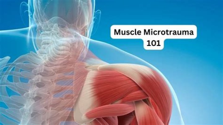 What is microtrauma in muscle