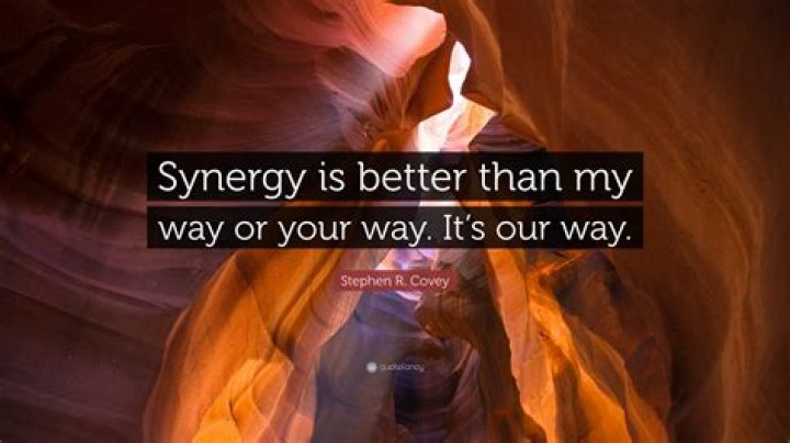 What is synergy Stephen Covey