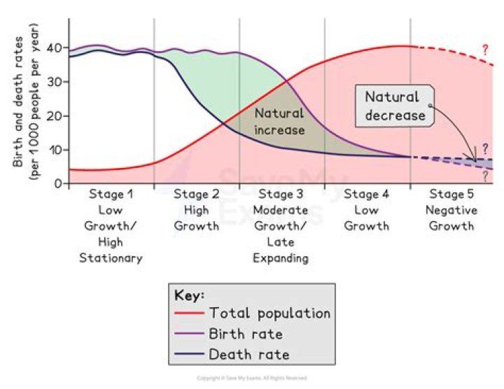 What is the demographic cycle