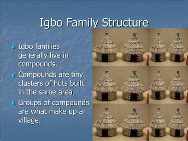 What is the Igbo family structure