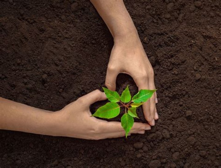 What is the importance of hue