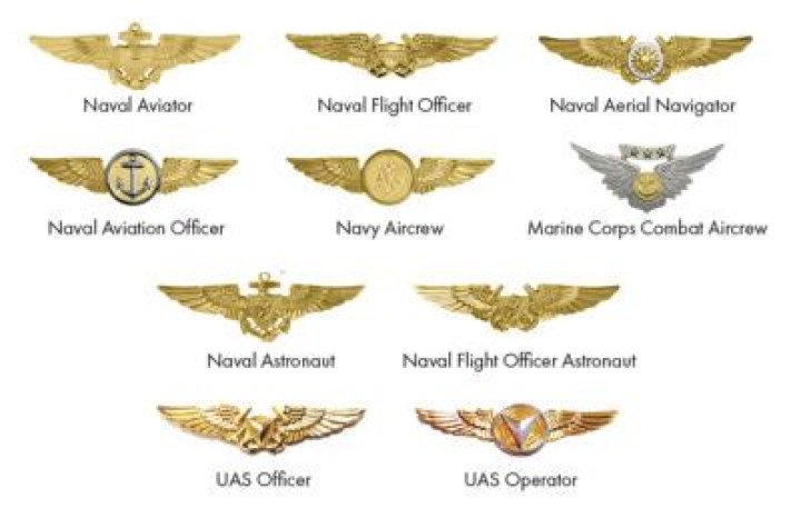 What is the Marine pin called