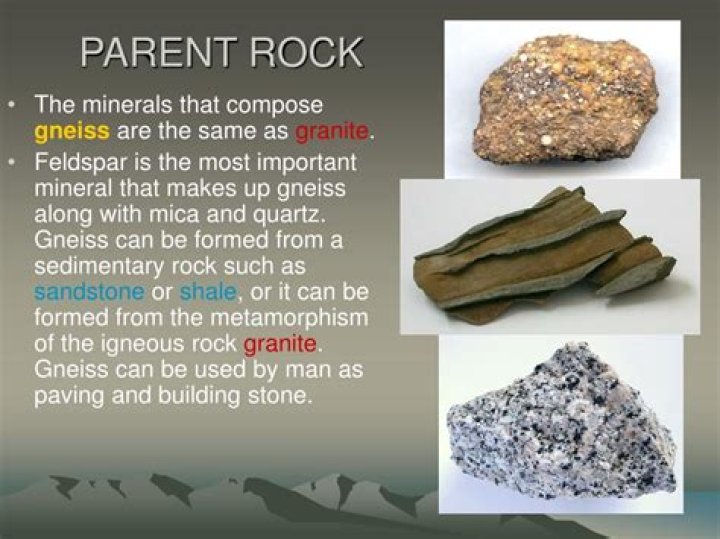 What is the parent rock of serpentinite