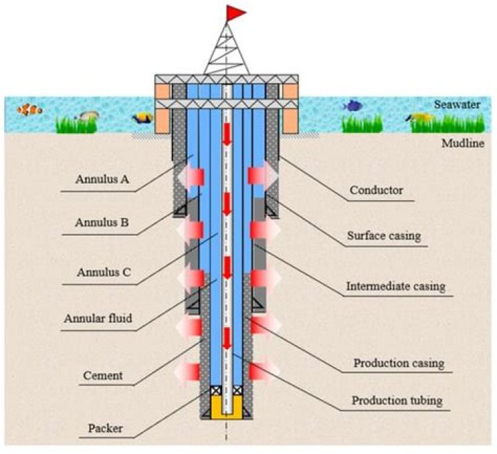 What is the purpose of casing