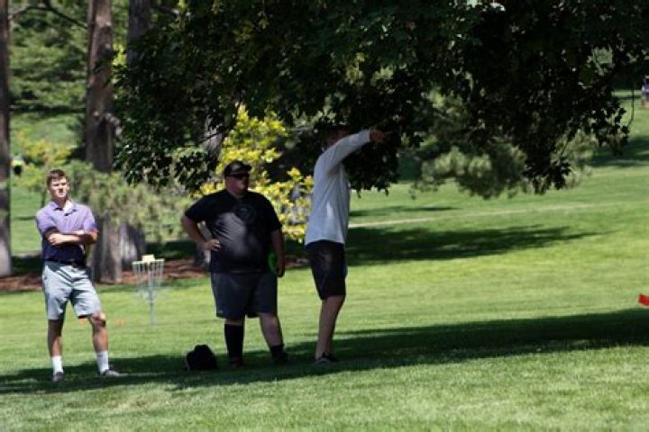 What is turnover in disc golf