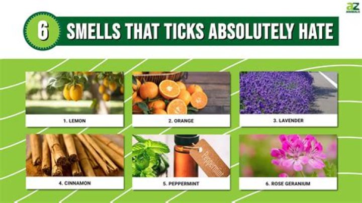 What plant do ticks hate the most