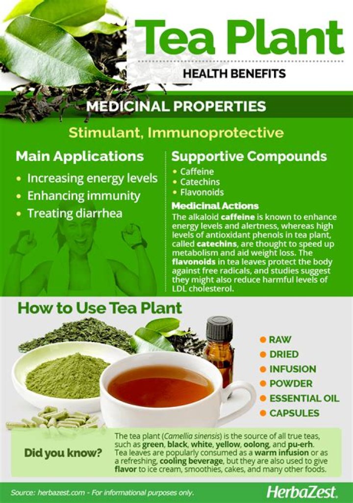 What plants benefit from tea bags