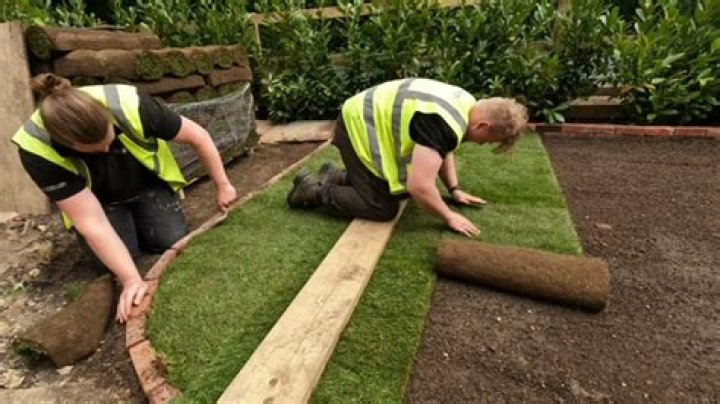 When should I re Turf my lawn