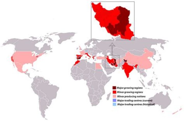Where does saffron grow in the US