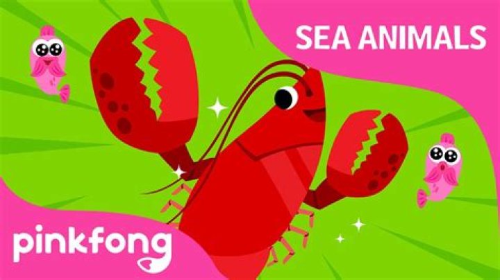 Which lobster is the sweetest