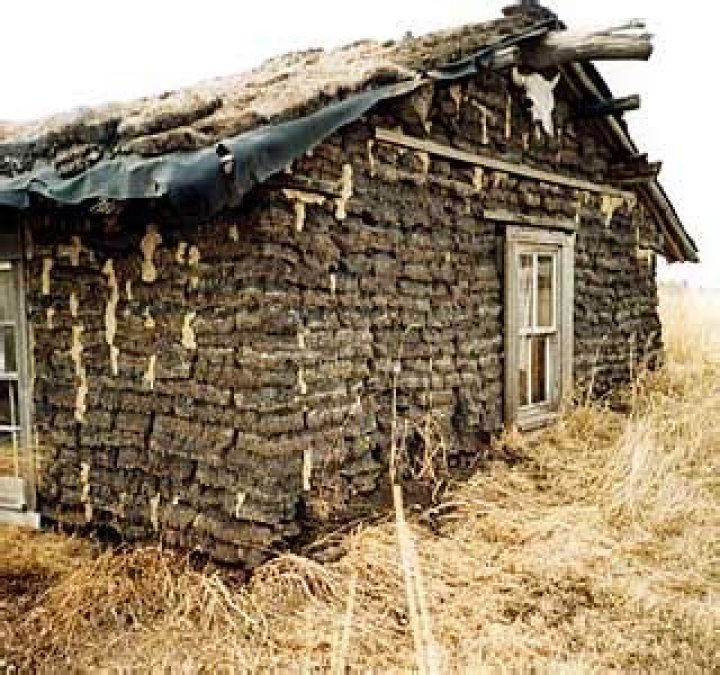 Why did settlers build sod houses