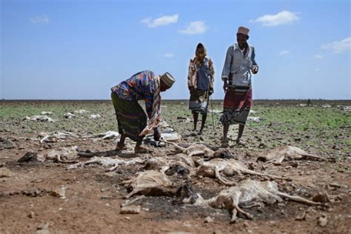 Why does Africa have conflict