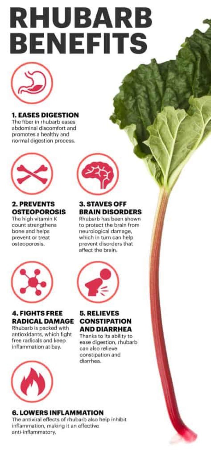 Why is rhubarb called rhubarb